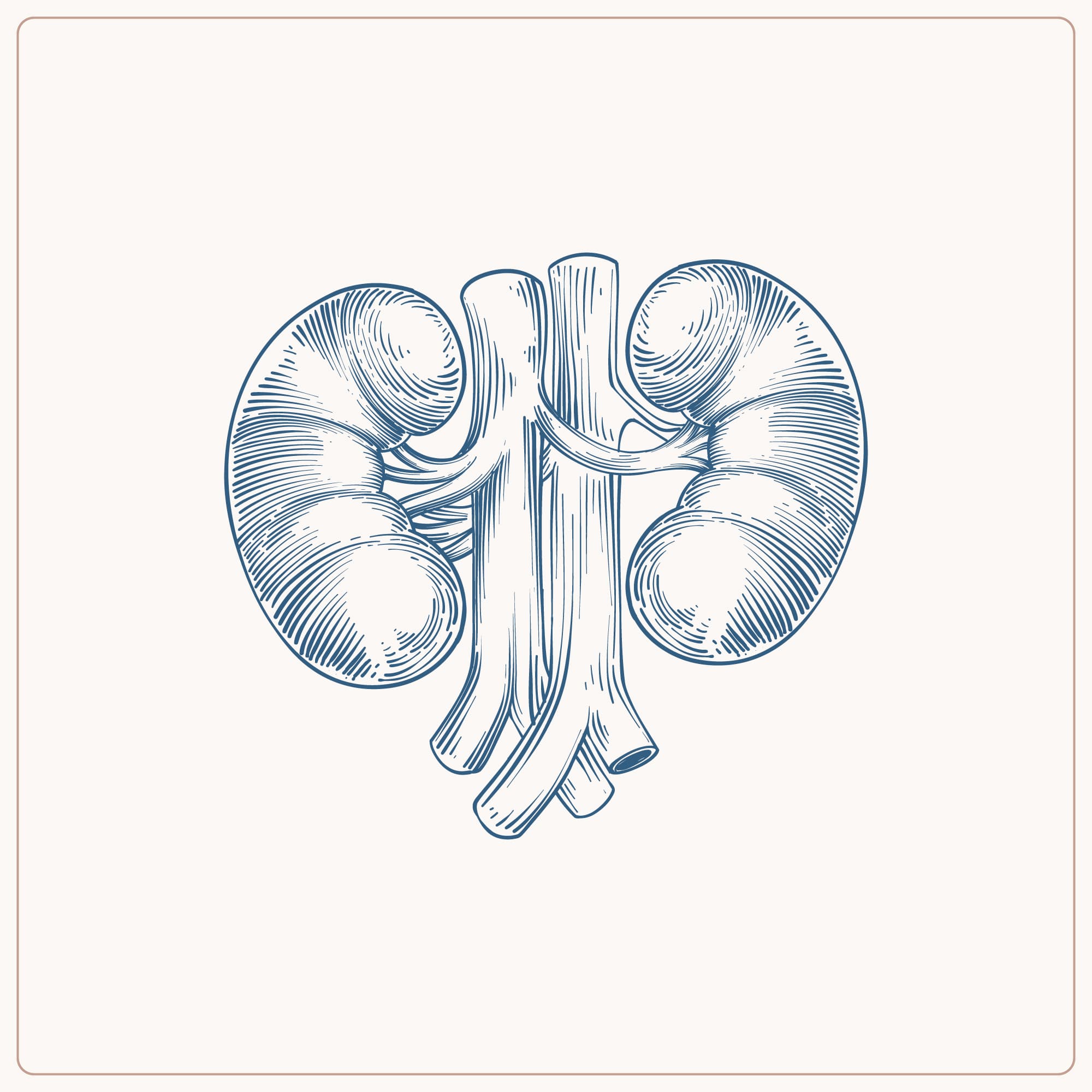 Pulmonary Rehabilitation
