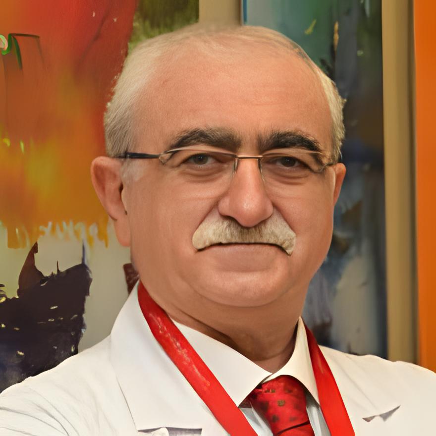 Prof. Bingur Sonmez